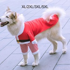 Simpatico vestito da Babbo