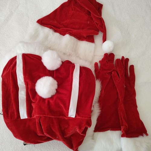 Costume donna babbo - costume,