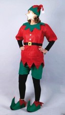 NATALE VESTITO DA ELFO DI