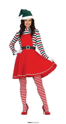 Costume elfo aiutante - costume, di